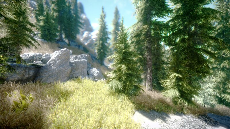 Pine Forest Landscape — Green, Serene, Afternoon, 3d Render, Trees