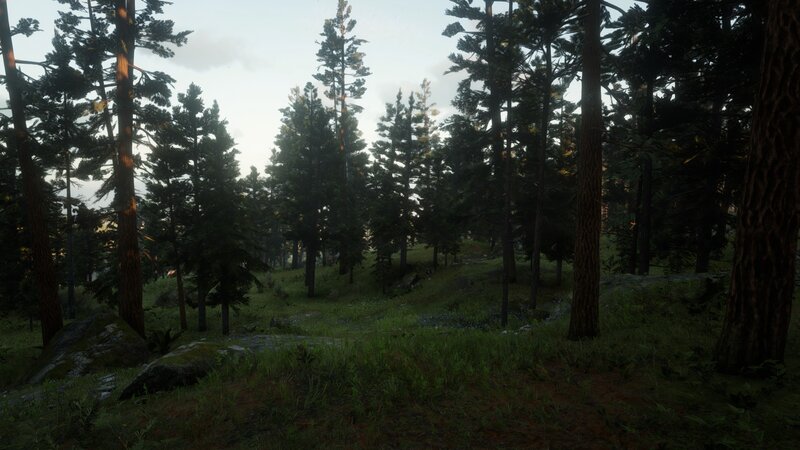 Pine Forest Landscape — Green, Serene, Morning, 3d Render, Trees