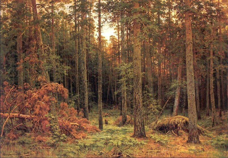 Pine Forest Landscape — Green, Serene, Sunset