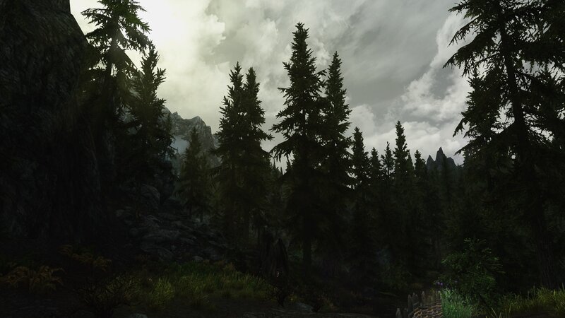 Pine Forest Landscape — Green, Somber