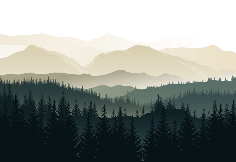 Pine Forest Mountains — Green, Serene