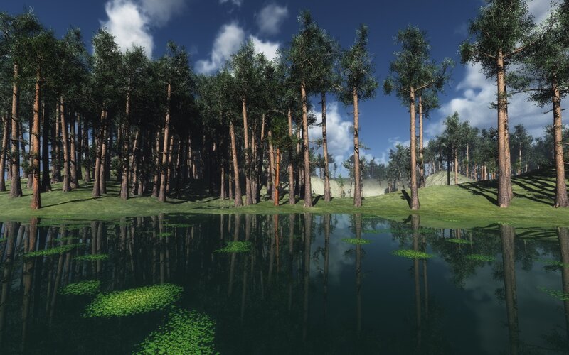Pine Forest Pond