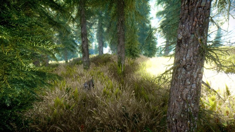Pine Forest Scene — Green