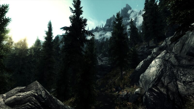 Pine Forest with Mountains — Green, Serene, Morning