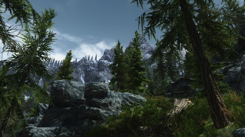 Pine Forest with Mountains — Green