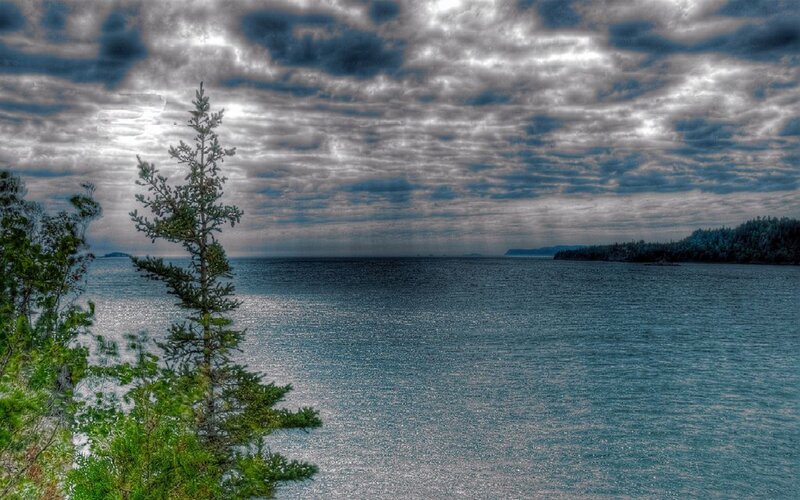 Pine Tree by Lake — Blue, Dramatic