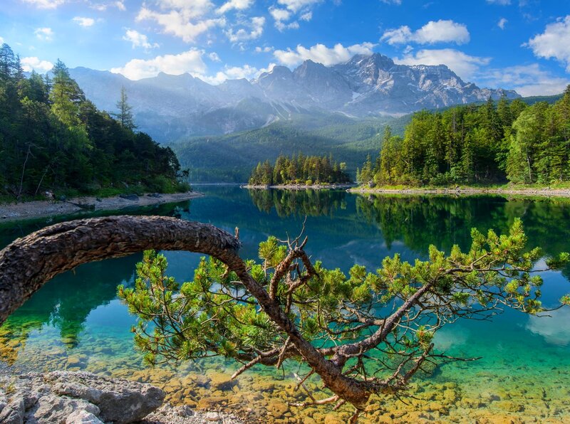 Pine Tree by Lake — Blue, Serene, Afternoon, Photograph, Mountains, Forest, Island