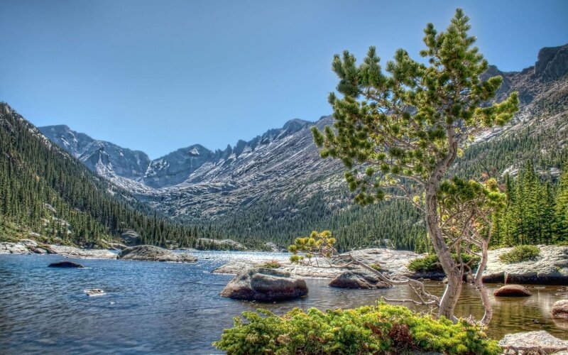 Pine Tree by Lake — Blue, Serene, Afternoon, Photograph, Mountains