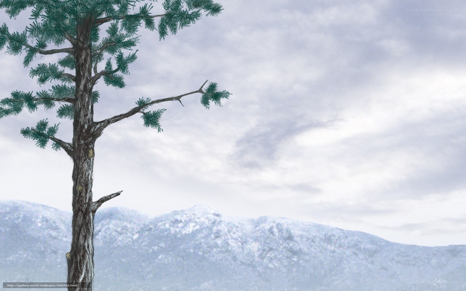 pine tree in snowy landscape