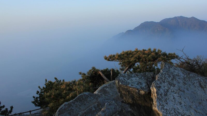 Pine Tree on Mountain — Blue
