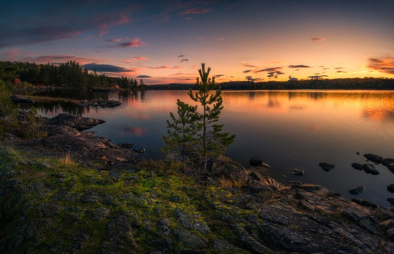 Pine Tree on Rocky Shore — Orange, Serene, Sunset, Photograph