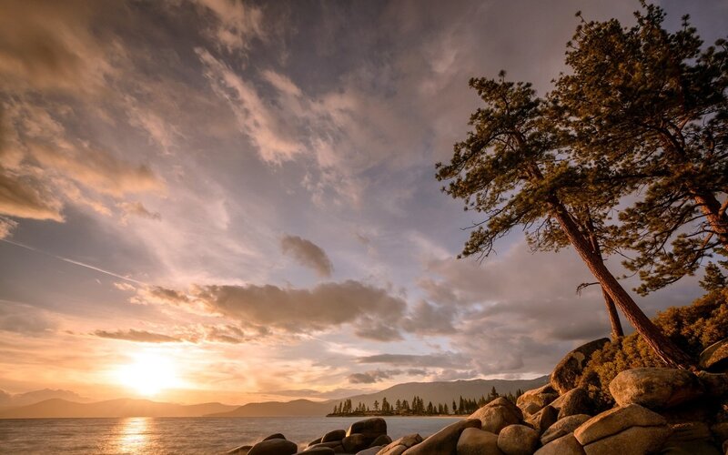Pine Tree on Rocky Shore — Orange, Serene