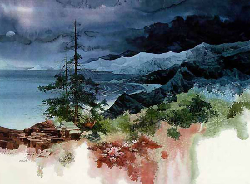 Pine Tree on Rocky Shore