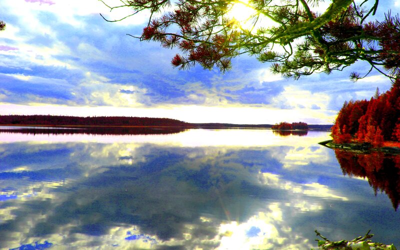 Pine Tree over Lake — Blue