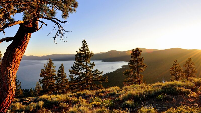Pine Tree Overlooking Lake — Blue, Serene, Sunset, Photograph, Mountains
