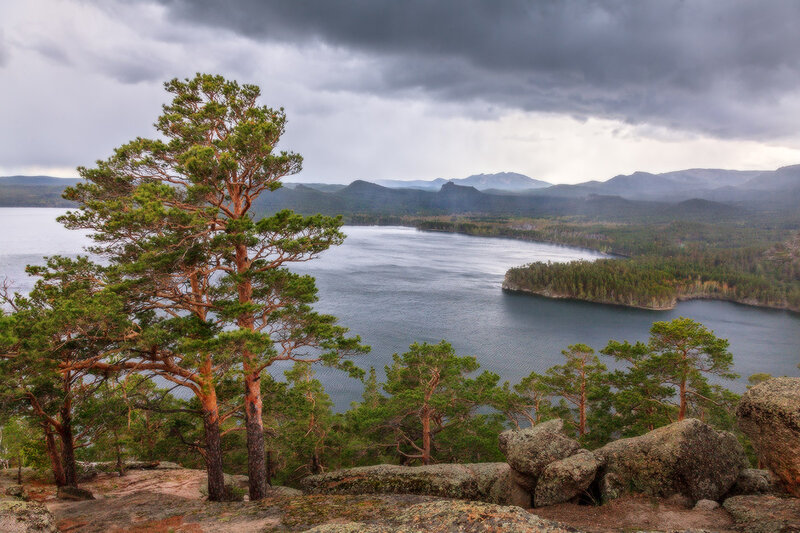 Pine Tree Overlooking Lake — Green, Dramatic