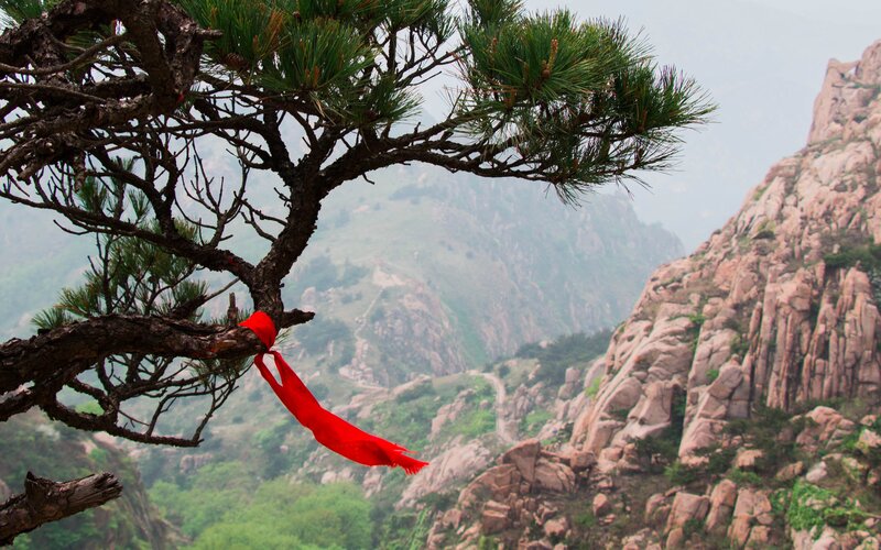 Pine Tree with Red Ribbon