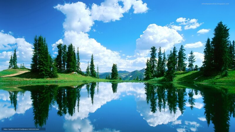 Pine Trees and Lake — Blue, Serene, Afternoon, Photograph, Clouds, Mountains, Reflection