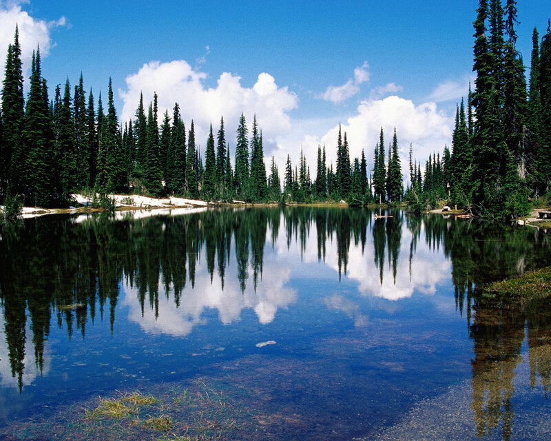 Pine Trees and Lake — Blue, Serene, Afternoon, Photograph, Clouds, Snow, Green