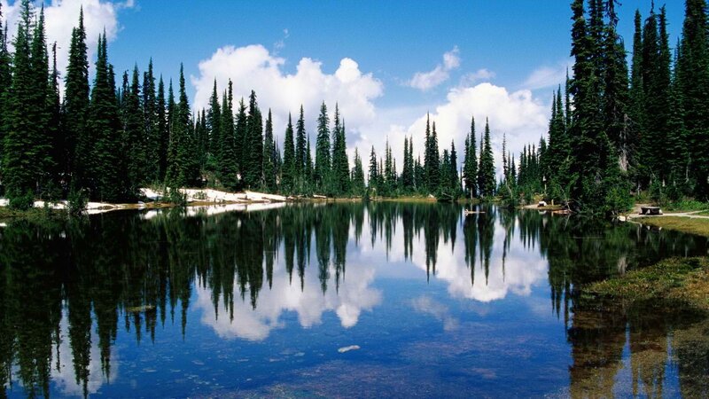 Pine Trees and Lake — Blue, Serene, Afternoon, Photograph, Clouds, Snow Patches, Bench