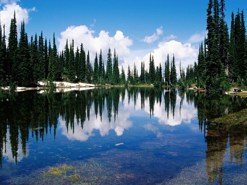 Pine Trees and Lake — Blue, Serene, Afternoon, Photograph, Clouds, Snow Patches