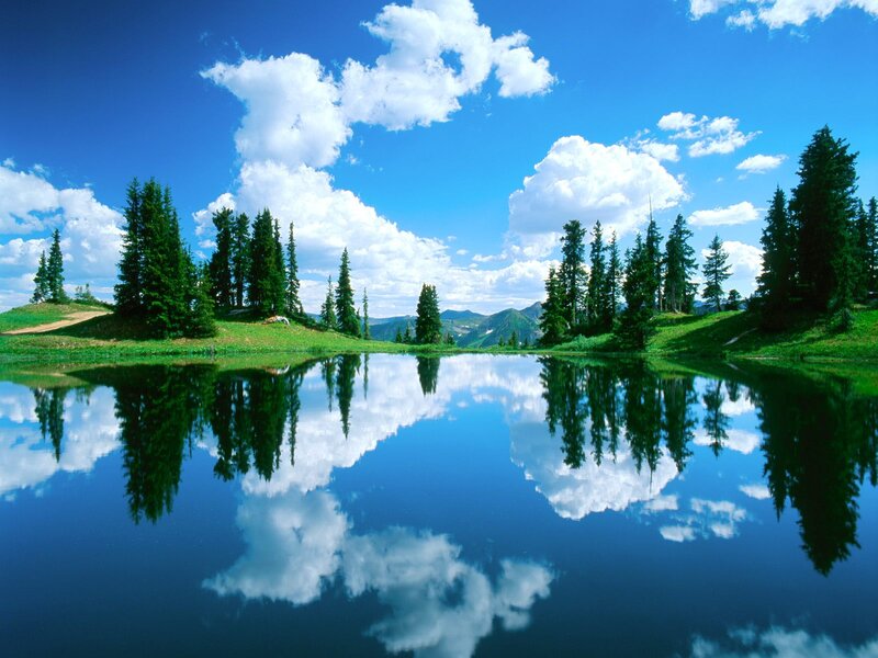 Pine Trees and Lake — Blue, Serene, Afternoon, Photograph, Clouds