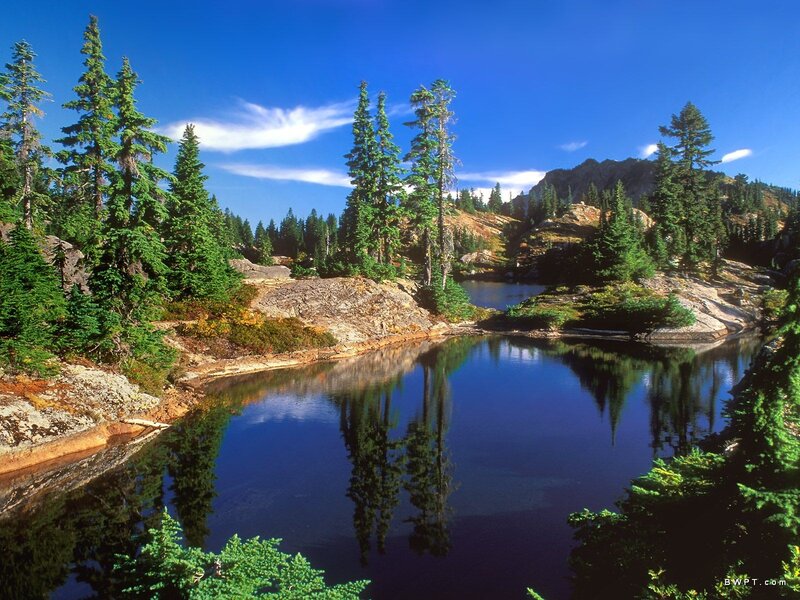 Pine Trees and Lake — Blue, Serene, Afternoon, Photograph, Mountain, Sky
