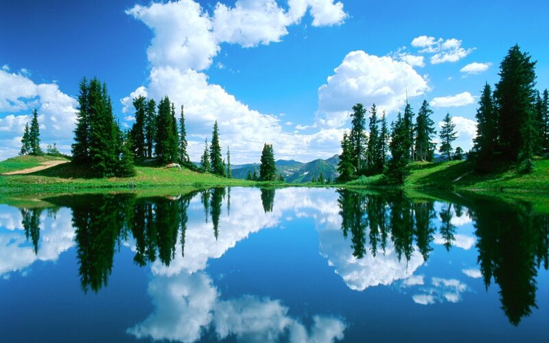 Pine Trees and Lake — Blue, Serene, Afternoon