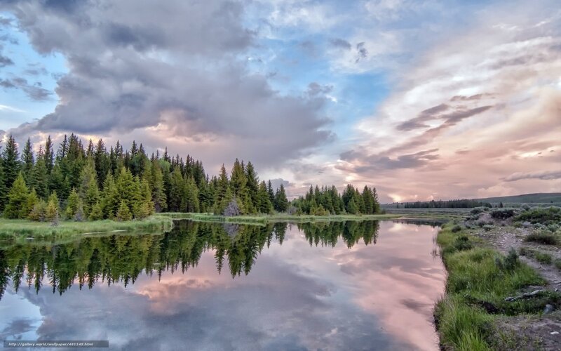 Pine Trees and Lake — Blue, Serene, Sunset