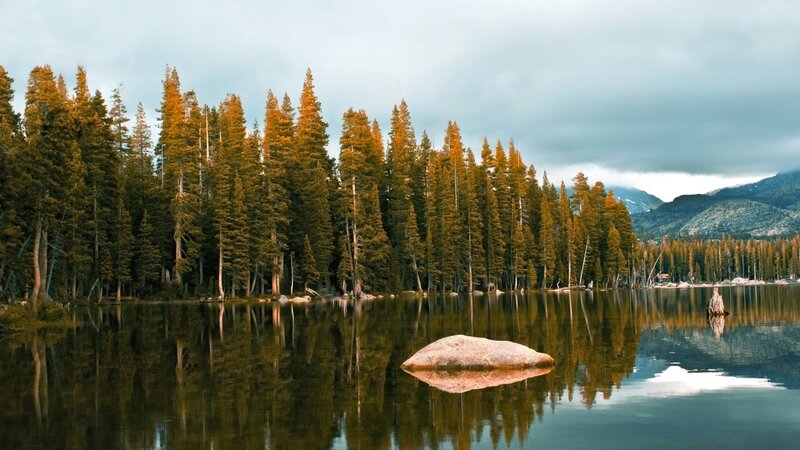 Pine Trees and Lake — Green, Serene, Afternoon