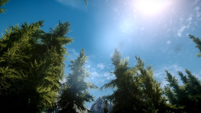 Pine Trees and Mountain — Blue, Serene