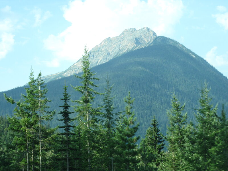 Pine Trees and Mountain — Green, Serene