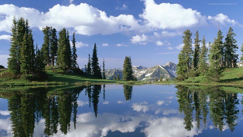 Pine Trees and Mountain Lake — Blue, Serene, Afternoon, Photograph