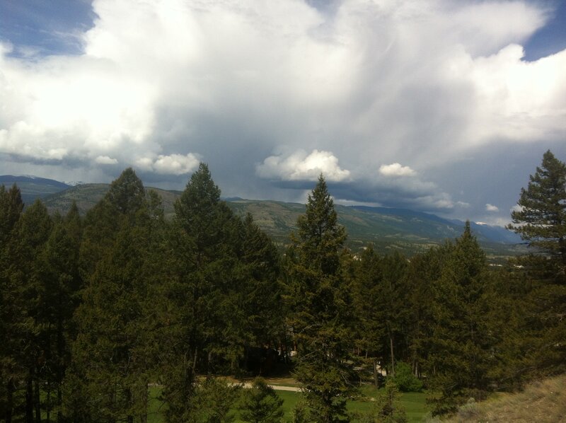 Pine Trees and Mountains — Green, Dramatic, Afternoon