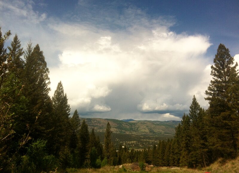 Pine Trees and Mountains — Green, Dramatic