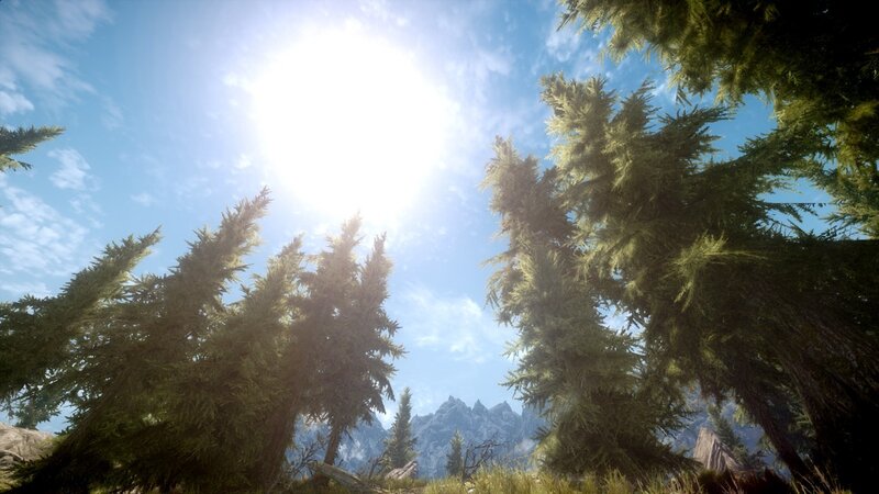 Pine Trees and Mountains — Green, Serene, Afternoon, 3d Render