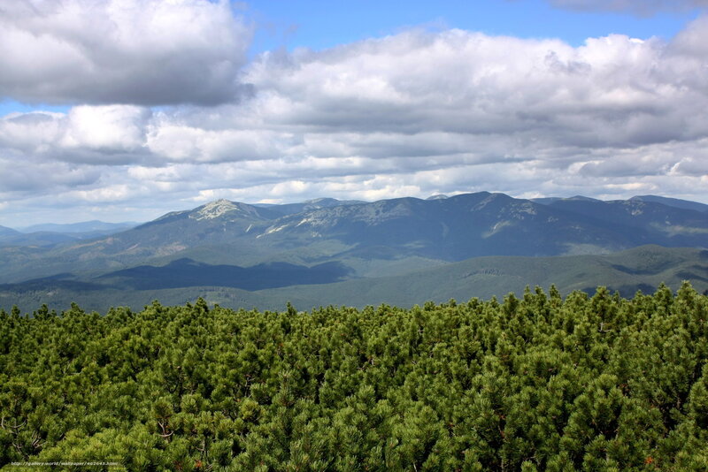 Pine Trees and Mountains — Green, Serene, Afternoon, Photograph, Clouds
