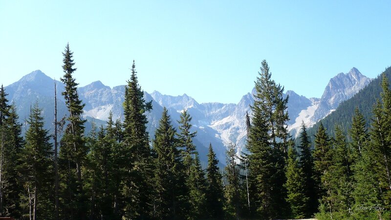 Pine Trees and Mountains — Green, Serene, Afternoon, Photograph, Sky, Blue