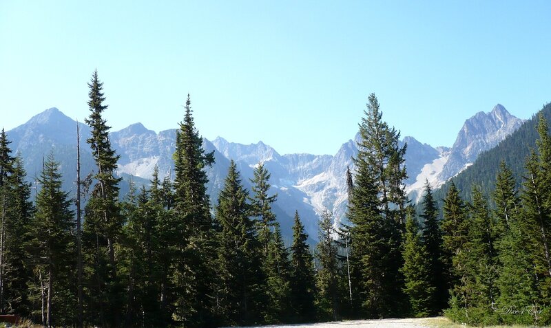 Pine Trees and Mountains — Green, Serene, Afternoon, Photograph, Sky