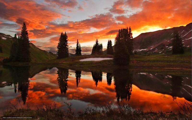 Pine Trees at Sunset — Orange, Dramatic, Photograph, Mountains
