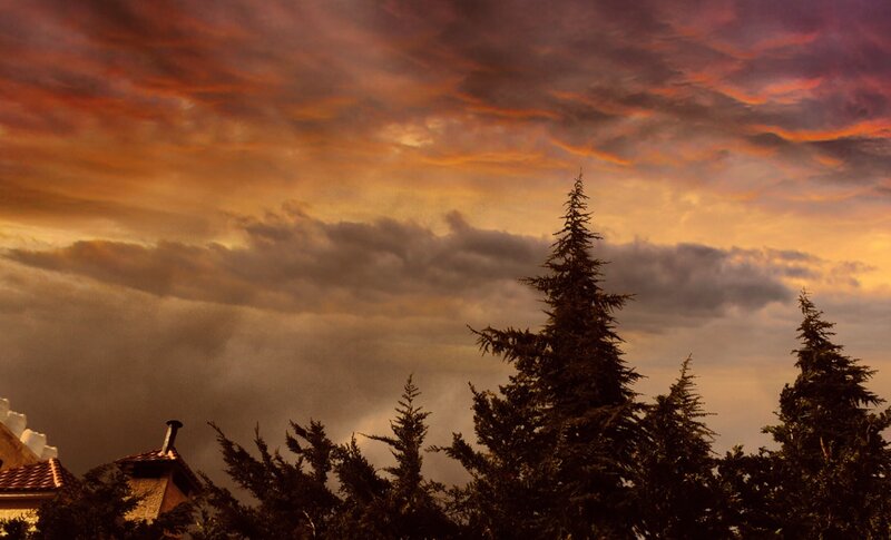Pine Trees at Sunset — Orange, Dramatic, Photograph