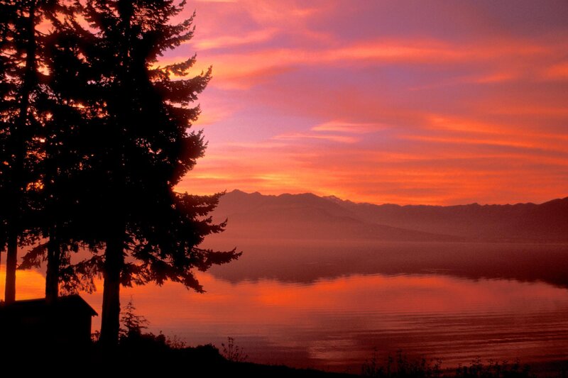 Pine Trees at Sunset — Orange, Serene, Photograph