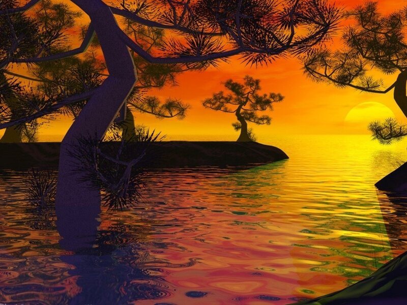Pine Trees at Sunset — Orange