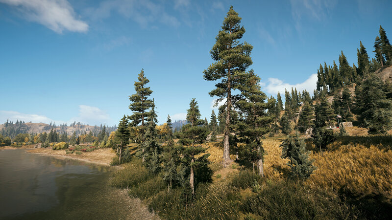 Pine Trees by Lake — Blue, Serene, Afternoon, 3d Render