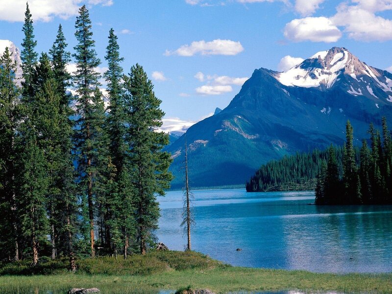 Pine Trees by Lake — Blue, Serene, Afternoon, Photograph, Mountain, Forest