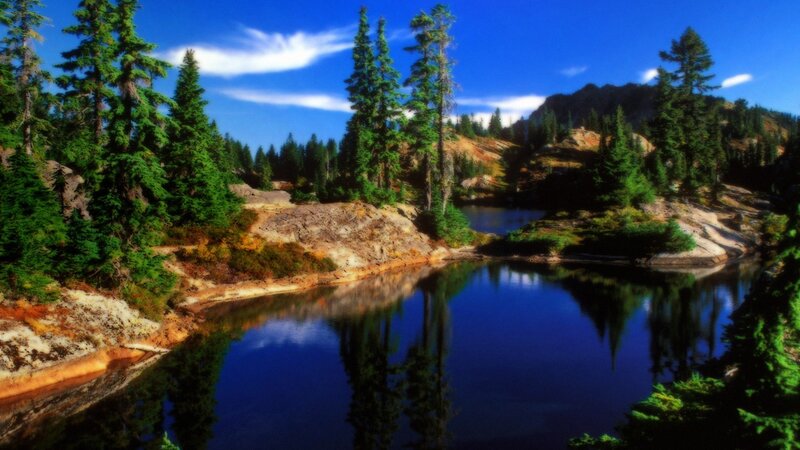 Pine Trees by Lake — Blue, Serene, Afternoon