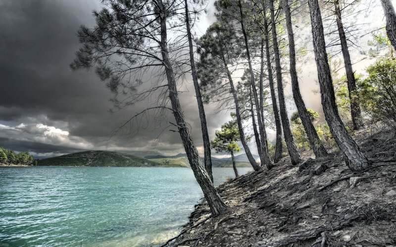 Pine Trees by Lake — Green, Dramatic, Photograph, Hills, Clouds