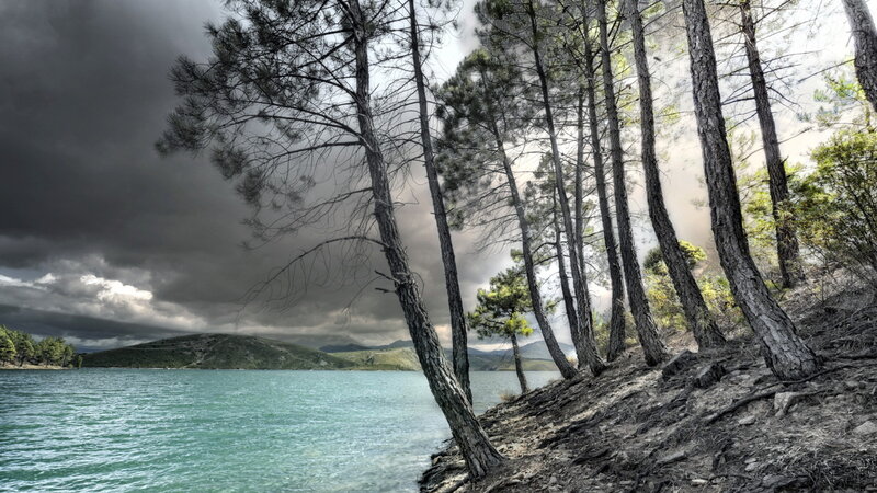 Pine Trees by Lake — Green, Dramatic, Photograph, Hills