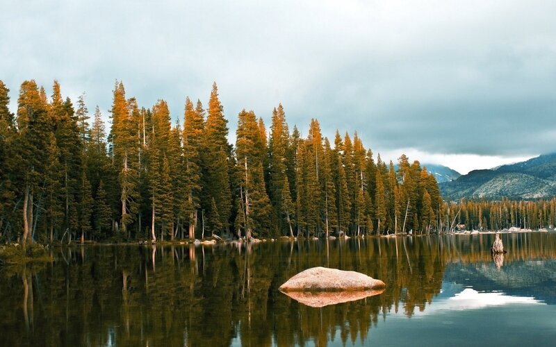 Pine Trees by Lake — Green, Serene, Afternoon, Photograph, Mountains, Rock
