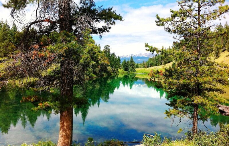 Pine Trees by Lake — Green, Serene, Afternoon, Photograph, Mountains, Sky